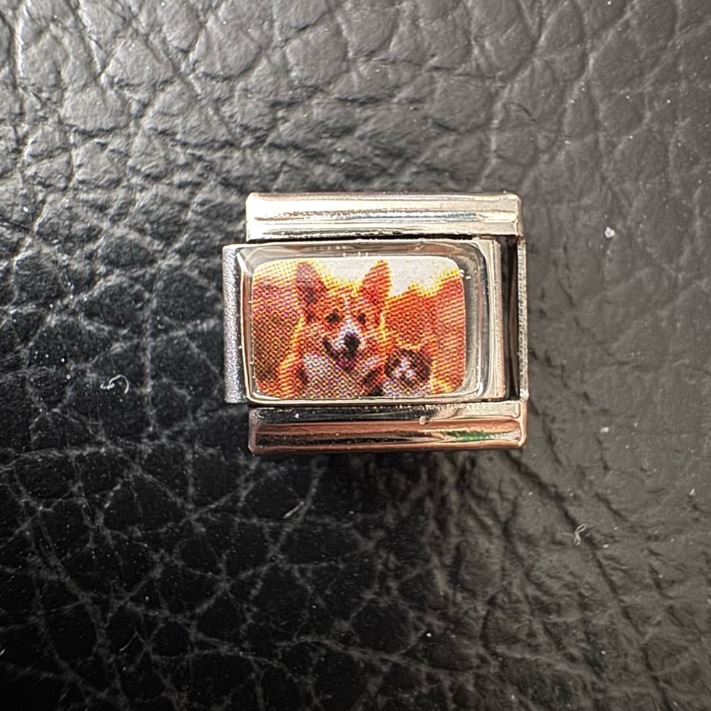 Corgi Dog with Cat Italian Charm Link – Stainless Steel
